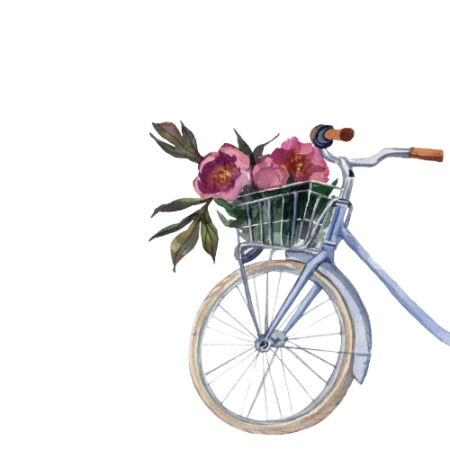 Aquarell Fahrrad Ornamentum Aquarell Fahrrad Ornamentum