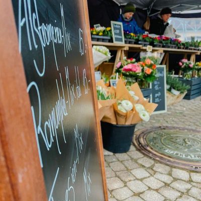Vielfalt an Gemüsesetzlingen und Kräutern auf dem Wochenmarkt Kißlegg
